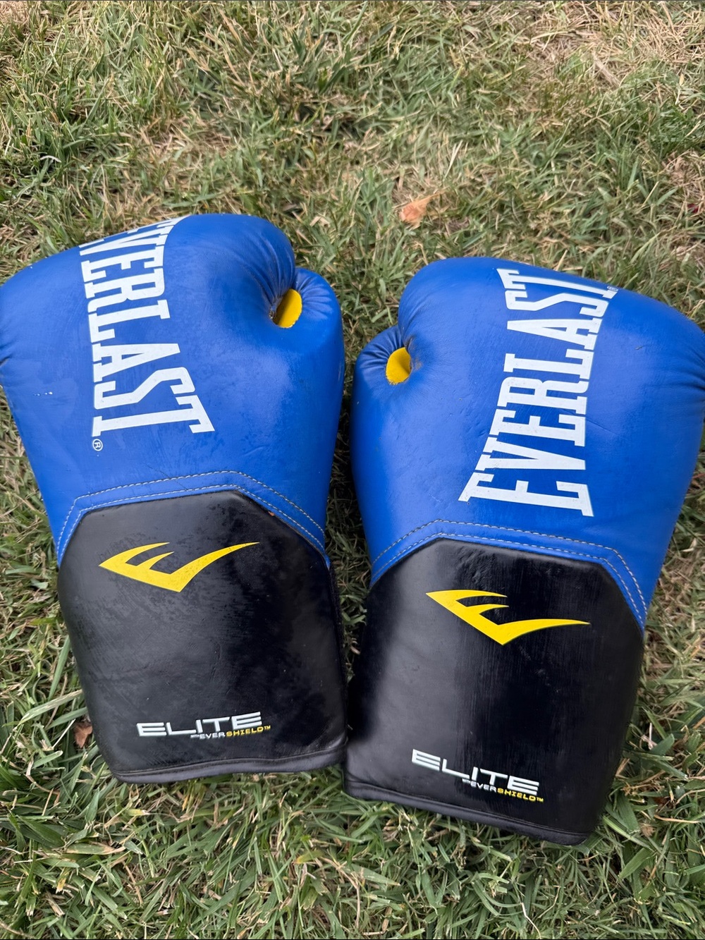 Everlast Blue and Black Training Boxing Gloves with Yellow Accents